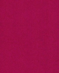 Paradise Aubergine by  Kasmir 