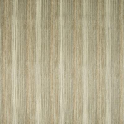 Kasmir Park Place Nutria in Promenade Multipurpose Polyester  Blend Fire Rated Fabric Wide Striped   Fabric