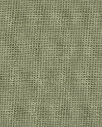 Parkington Fern by  Kasmir 