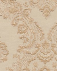 Pearlman Barley by  Kasmir 