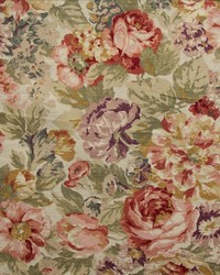 Penndale Aloe by  Kasmir 