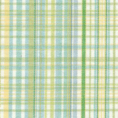 Kasmir Pickwick Plaid Cabana in Great Expectations Volume 3 Green Drapery-Upholstery Cotton Fire Rated Fabric Plaid and Tartan  Fabric