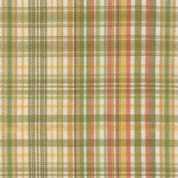 Kasmir Pickwick Plaid Olivette in New Attitudes, Volume 2 Green Drapery-Upholstery Cotton Fire Rated Fabric Plaid and Tartan  Fabric