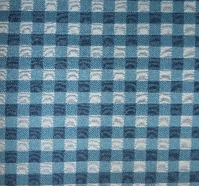 Kasmir Picnic Blueberry in Fresh Perspectives, Volume 2 Blue Multipurpose Cotton Fire Rated Fabric Small Check  Check   Fabric