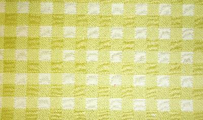 Kasmir Picnic Kiwi in Fresh Perspectives, Volume 2 Green Multipurpose Cotton Fire Rated Fabric Small Check  Check   Fabric