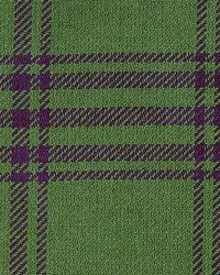 Plaid 190 Pine by  Kasmir 