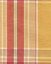 Plaid 265 Gold by  Kasmir 