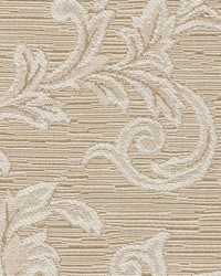 Pr103 Rattan by  Kasmir 