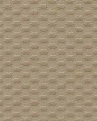 Pr204 Desert by  Kasmir 