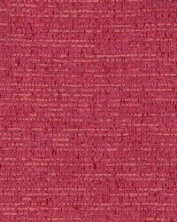 Pr211 Currant by  Kasmir 