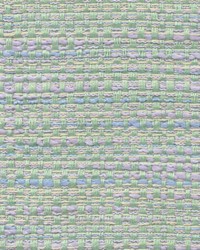 Pr213 Lime by  Kasmir 