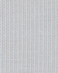 Prentice Robin by  Kasmir 