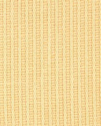 Prentice Vanilla by  Kasmir 