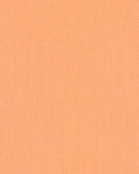 Prism Apricot by  Kasmir 