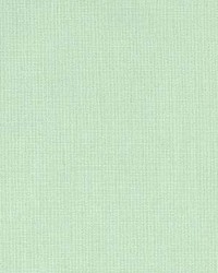 Prism Clover by  Kasmir 