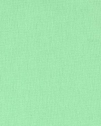 Prism Lime by  Kasmir 