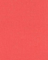 Prism Paprika by  Kasmir 