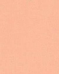 Prism Peach by  Kasmir 