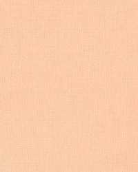 Prism Shrimp by  Kasmir 