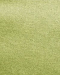 Prism Zest by  Kasmir 