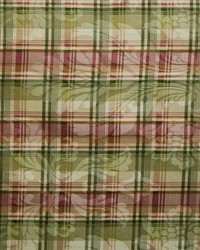 R149 Chamomile by  Kasmir 