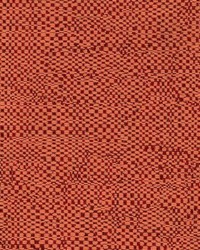 R200 Spice by  Kasmir 