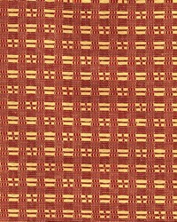 R203 Spice by  Kasmir 