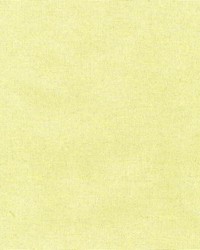 R205 Mint by  Kasmir 