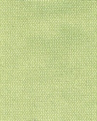 R213 Mint by  Kasmir 