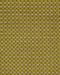 R219 Moss by  Kasmir 