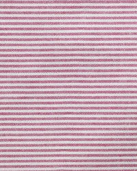 R304 Pink by  Kasmir 