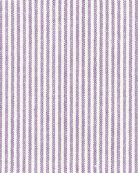 R304 Violet by  Kasmir 