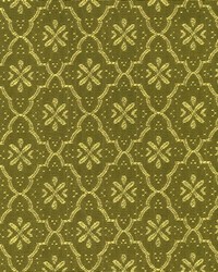 R331 Olive by  Kasmir 