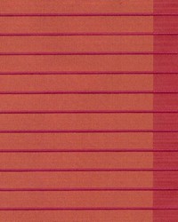 Radburn Blaze by  Kasmir 