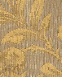 Rc 614 Gold by  Kasmir 