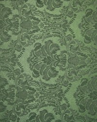 Rebecca Cypress by  Kasmir 