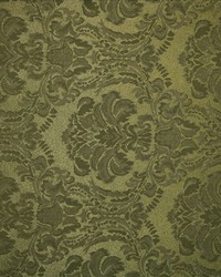 Rebecca Ivy by  Kasmir 