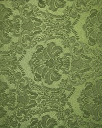 Rebecca Lichen by  Kasmir 