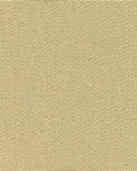 Redmond Citron by  Kasmir 