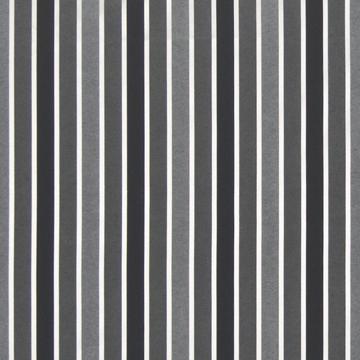 Kasmir Rhodes Stripe Ebony in New Attitudes, Volume 1 Black Multipurpose Polyester Fire Rated Fabric Plaid and Striped Faux Silk  Wide Striped   Fabric
