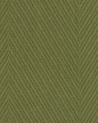 Roper Moss by  Kasmir 