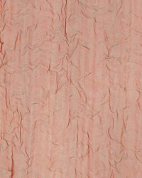 Samba Loden by  Kasmir 