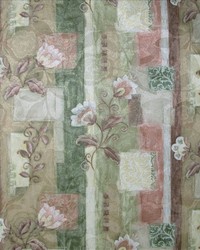 Sammons Spice by  Kasmir 