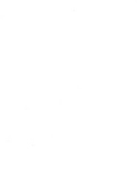 Sanchia Bone by  Kasmir 