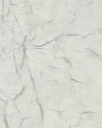 Sardinia Thistle by  Kasmir 