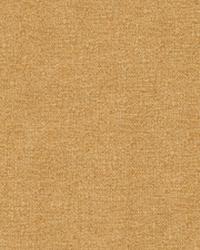 Scrumptious Wheat by   