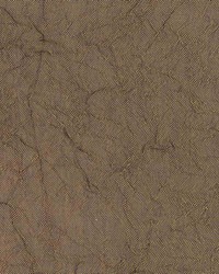 Sentiment Khaki by  Kasmir 