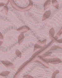 Seward Berry by  Kasmir 