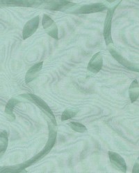 Seward Ivy by  Kasmir 