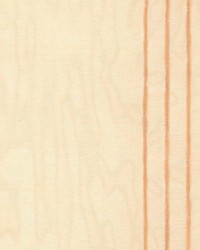 Sh105 Gold by  Kasmir 